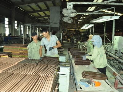 Công ty CP Trung Đô: Đổi mới công nghệ, nâng cao hiệu quả sản xuất, kinh doanh