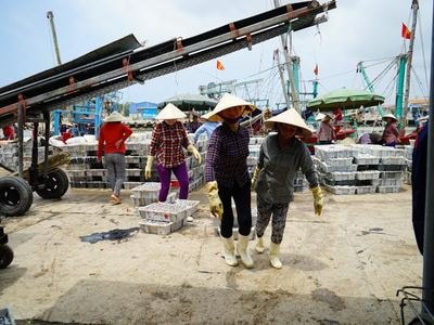 Hối hả nhịp đời ở cảng cá Lạch Quèn