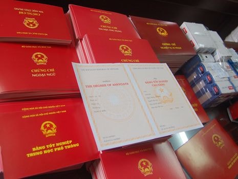 Cách chức phó bí thư đảng ủy xã sử dụng bằng giả