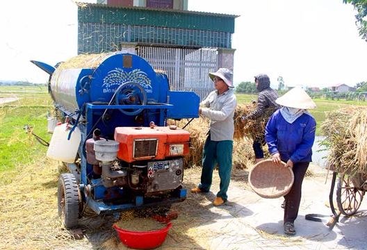 Làm thuê ở quê cũng khấm khá