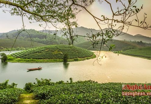 Đẩy nhanh tiến độ dự án Khu du lịch Cầu Cau