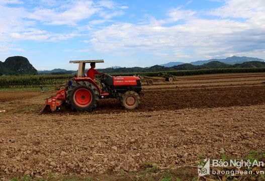 Nông dân Anh Sơn 'chạy đua' thời vụ