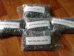 Phát hiện 145 kg đạn chì dưới gầm xe khách