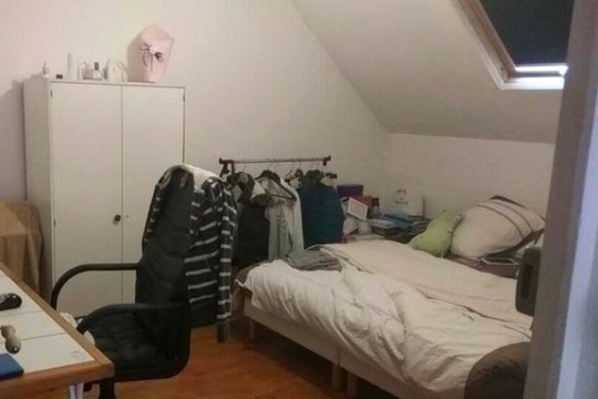 Trải lòng của du học sinh về 'cuộc sống đâu chỉ màu hồng'