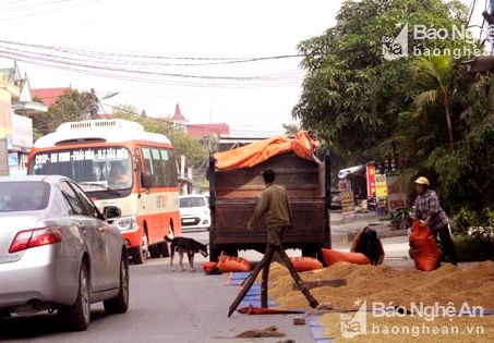 TP. Vinh: nhiều tuyến đường biến thành sân phơi thóc