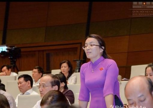 Trung tâm Trợ giúp pháp lý sẽ lấy kinh phí đâu nếu phải bồi thường?