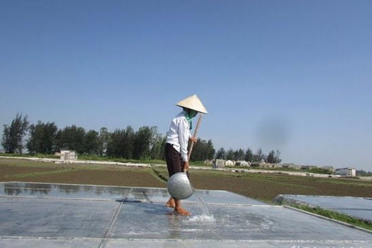 Mặn - nhạt nghề muối