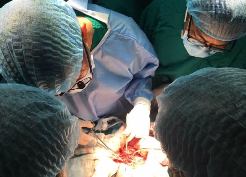 Cô gái 18 tuổi chết não hiến tim, thận, gan cứu 4 người