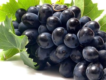 Những 'thực phẩm vàng' cho thận luôn khỏe mạnh