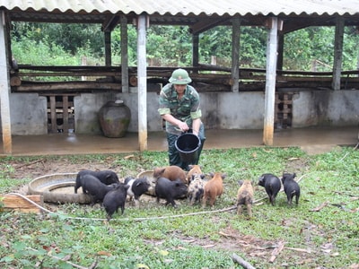 Thiết thực hỗ trợ đồng bào vùng biên phát triển chăn nuôi