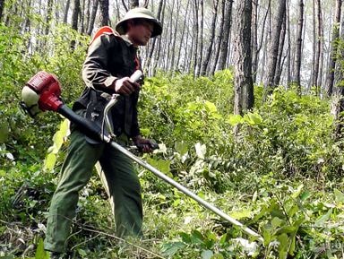Yên Thành: Xây dựng 30 km đường băng trắng cản lửa PCCCR