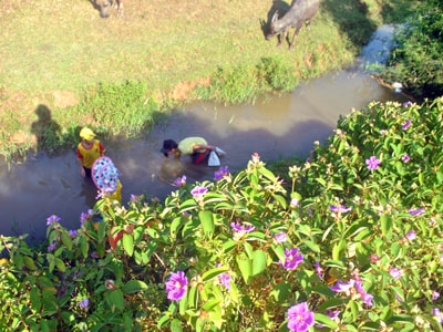 Bình yên nơi xóm đạo