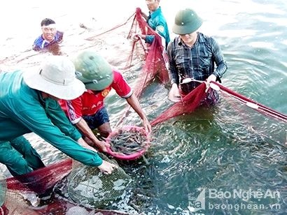 Thu tiền tỷ từ nuôi tôm vụ 1