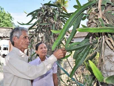 Ngân hàng chính sách xã hội huyện Đô Lương đồng hành cùng người nghèo