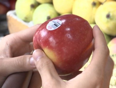 Tem trái cây không truy xuất được nguồn gốc