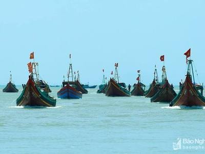 Hối hả dưới nắng nóng nơi cảng cá Lạch Vạn