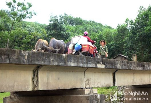 Ám ảnh những 'bẫy' người ở khu tái định cư Ngọc Lâm
