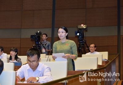 ĐBQH Nghệ An: Giao Ngân hàng Nhà nước quy định nợ xấu là chưa thỏa đáng