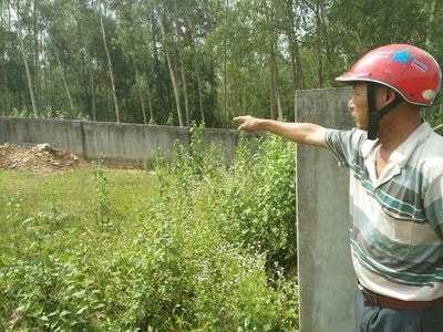 Nghệ An: 14 người cấp cứu vì ong rừng tấn công