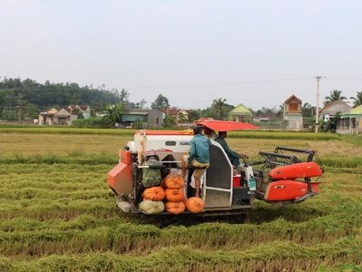 Tích tụ ruộng đất:  Vẫn thiếu doanh nghiệp trên đồng