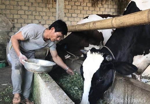 Giáo dân tiêu biểu của giáo xứ Đồng Tâm làm kinh tế giỏi