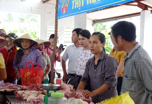 Tìm giải pháp tiêu thụ lợn ở 'quê lúa'