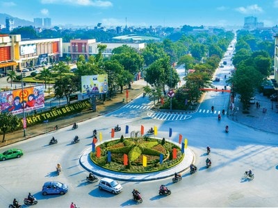 Những bông hoa lặng lẽ tỏa hương