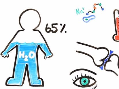 Cơ thể nguy hại thế nào khi ngừng uống nước