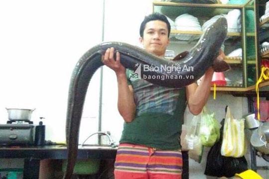 Cá lệch 'khủng' có giá 10 triệu đồng ở Kỳ Sơn