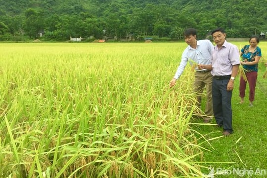 Mùa vui Mường Chọong