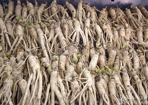 Nhiều mặt hàng tham gia Hội chợ du lịch thương mại Cửa Lò