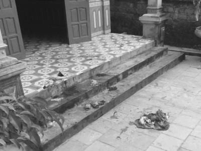 Nghịch tử đoạt mạng bố rồi tự sát