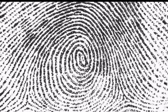 Vân tay có thể sẽ được sử dụng để thay thế thẻ lên máy bay