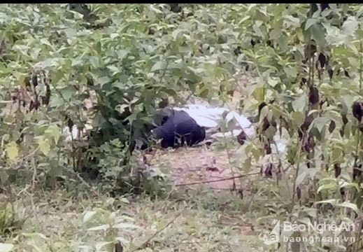 Người đàn ông chết bên vệ đường, tay cầm bơm tiêm