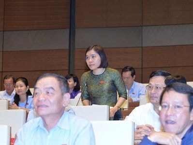 Đại biểu Đinh Thị Kiều Trinh: Đề nghị làm rõ 'chủ rừng' có đồng thời là 'chủ đất'?