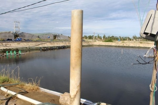 Nông dân Nghệ An đầu tư 1,7 tỷ đồng đưa nước biển vào nuôi tôm