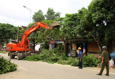 Qùy Châu chủ động đề phòng tai nạn thương tích mùa mưa lũ