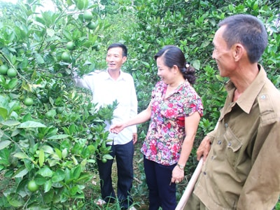 Người xóm trưởng xông xáo ở Nghĩa Đàn