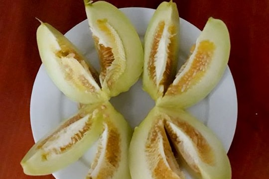 Dưa lê 'hút khách' mùa nắng nóng