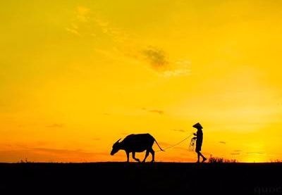 Ngắm hoàng hôn yên ả trên quê hương xứ Nghệ