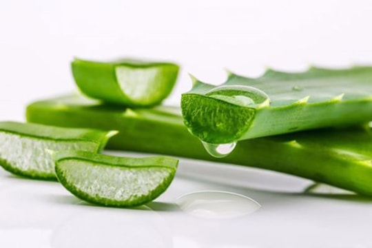 Mẹo sơ cứu vết thương bằng nguyên liệu có sẵn