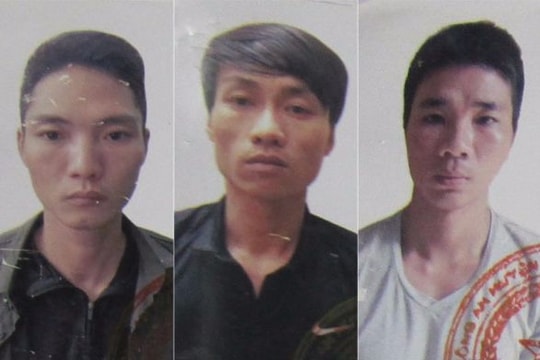 Kết luận điều tra vụ băng nhóm chuyên trộm cắp gỗ sưa ở đình, chùa