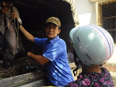 Thanh Chương: Đổi rác thải lấy con giống