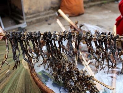 Nhái khô, chuột rừng, trứng kiến - những sản vật chỉ có ở vùng cao xứ Nghệ