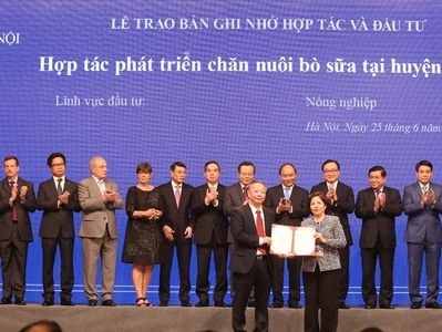 Vinamilk tính chuyện nuôi bò sữa công nghệ cao ở Hà Nội