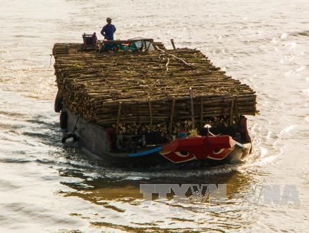 Phương tiện thủy tự đóng phải đảm bảo tiêu chuẩn mới được đăng kiểm
