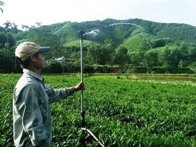 Thanh Chương: Chủ động phòng chống hạn cho chè