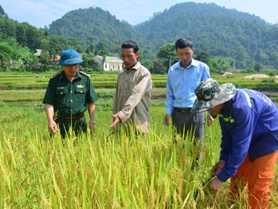 Khắc phục tính hình thức trong sinh hoạt chi bộ