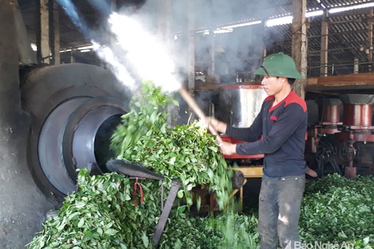 Phong trào thi đua yêu nước của cộng đoàn giáo dân Anh Sơn