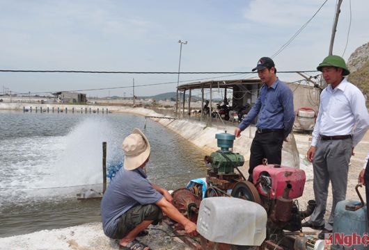 Thị xã Hoàng Mai cắt giảm hội họp, tăng thời gian phục vụ nhân dân